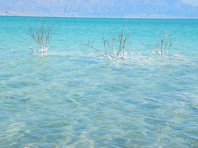 Màu nước tuyệt đẹp của Biển Chết. Ảnh: Insite-israel-tour.com.