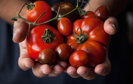  thực phẩm tốt nhất cho da trong mùa đông- cà chua