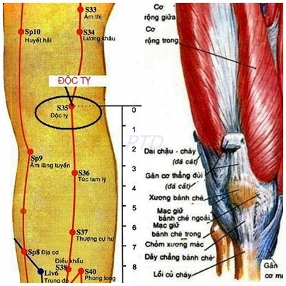 Cách tự bấm 4 huyệt giúp chị em giảm béo nhanh đón Tết